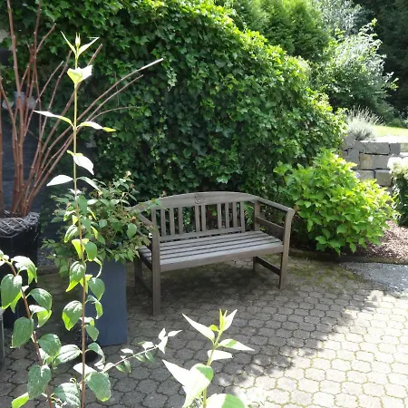 Stadt Und Wald * Trier